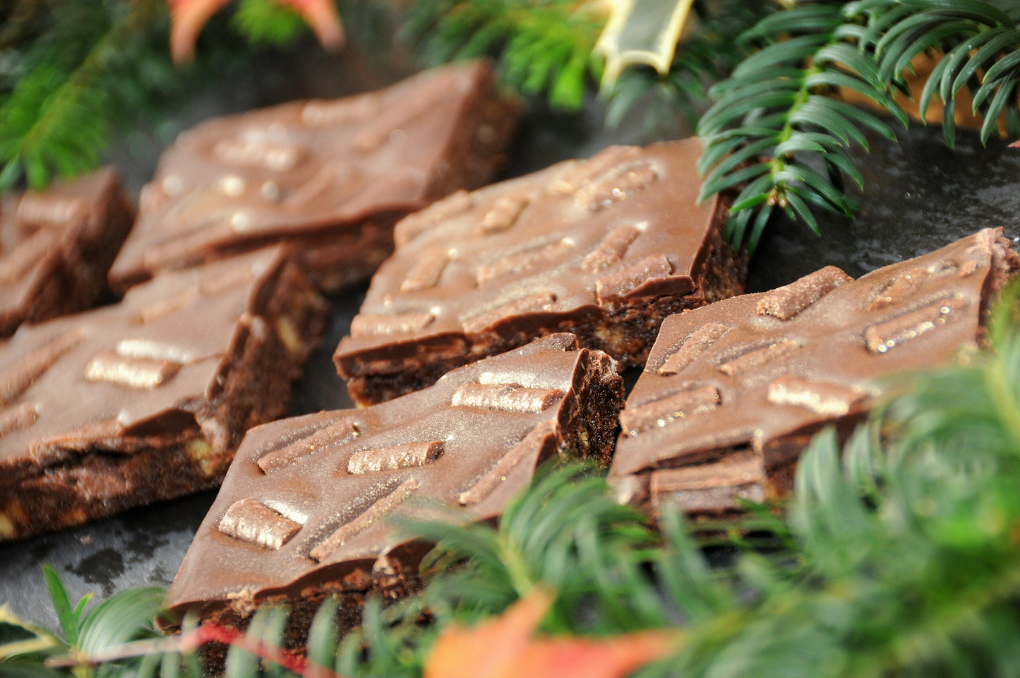 Chocolate Crunch Mint - Treat Box (6 piece)